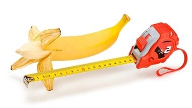 The normal size of the penis is 13 to 17 cm